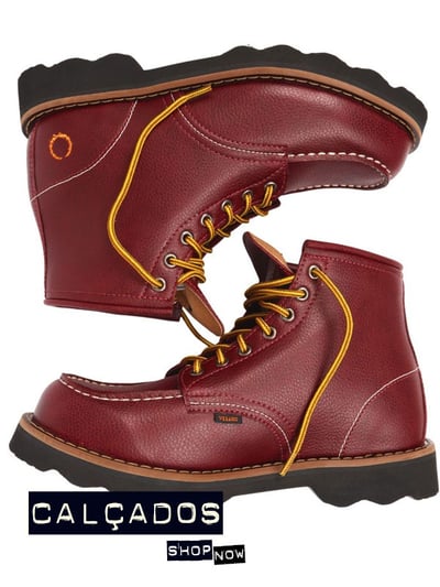 Bota